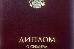 Диплом / сертификат №1 — Друженкова Яна Александровна