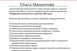 Диплом / сертификат №3 — Мамонтова Ольга Александровна