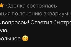 Портфолио №9 — Бизяев Павел Дмитриевич