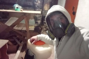 Профилактика от блох; Подвальное помещение — Харин Эрнест Геннадьевич