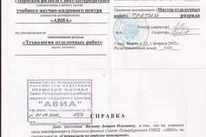 Диплом / сертификат №7 — Волков Андрей Олегович