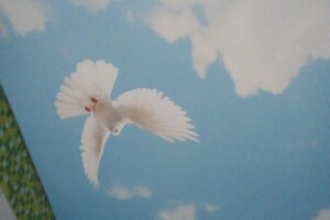 Абулаизов Виталий Бариевич — Яркая цветная фото печать — Портфолио №8