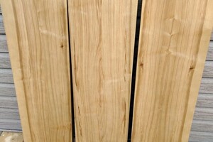 Анищенко Максим Владимирович — Портфолио №6