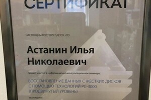 Астанин Илья Николаевич — Диплом / сертификат №8