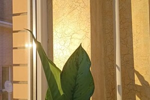 Байрамов Артур Джумаевич — Портфолио №2