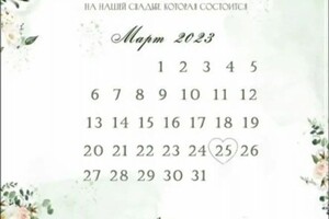 Бережная Анастасия Артуровна — Портфолио №13