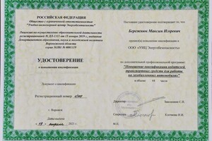 Бережнюк Максим Игоревич — Диплом / сертификат №1