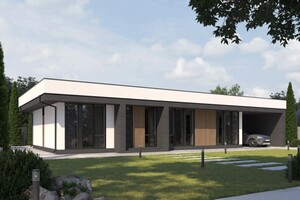 Бестужев Борис Евгеньевич — Портфолио №7