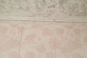 Бочкарь Богдан Андреевич — Портфолио №10