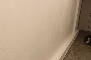 Богучаров Артём Сергеевич — Окраска белой акриловой краской плюс с нанесением лака — Портфолио №13