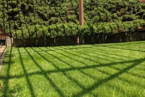 Бурдюков Алексей Николаевич — Частный сад — Портфолио №1