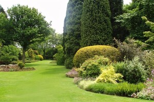 Бурдюков Алексей Николаевич — Ландшафтной парк. Проектирование парка. — Портфолио №5