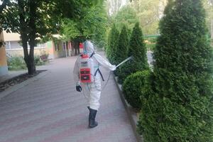 Обработка всей растительности на участке от клещей, муравьев, комаров. Не вредит растениям. — Чекушкин Владислав Александрович