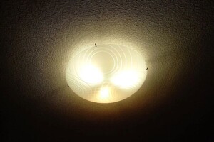 Чувашенко Андрей Викторович — Замена люстры — Портфолио №7