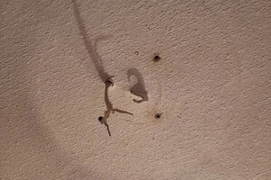 Чувашенко Андрей Викторович — Замена люстры — Портфолио №8