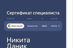 Даник Никита Борисович — Диплом / сертификат №3