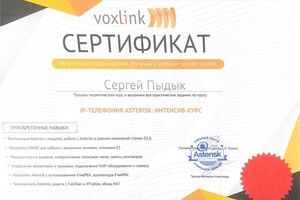 Диплом / сертификат №2 — Долгопятов Александр Сергеевич