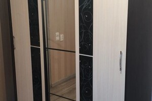 Дорошенко Денис Викторович — Шкаф-купе — Портфолио №2