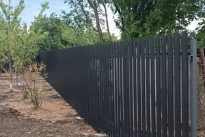 Дорошенко Николай Олегович — Портфолио №2