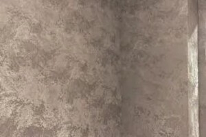 Дудина Наталья Саввична — Портфолио №2