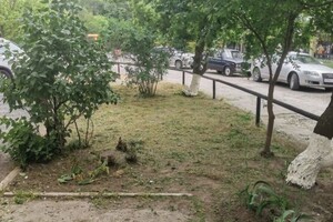 Егоров Антон Витальевич — Портфолио №73