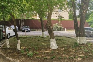 Егоров Антон Витальевич — Портфолио №76