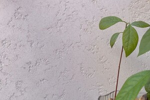 Фандеев Иван Олегович — Доломит — Портфолио №7