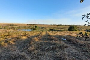 Федоров Павел Александрович — Портфолио №3