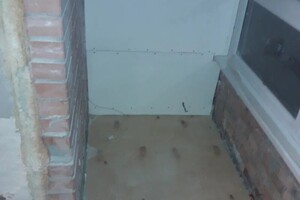 Филонов Александр Николаевич — Портфолио №20