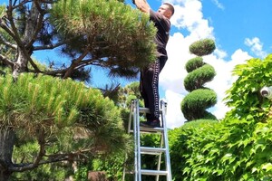 Головатов Виталий Вадимович — Декоративные стрижки — Портфолио №55