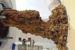 Гриценко Артём Олегович — Ремон водонагревателя — Портфолио №9