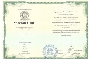 Григорьев Никита Романович — Диплом / сертификат №6