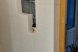 Гуцу Валерий Федорович — Портфолио №34