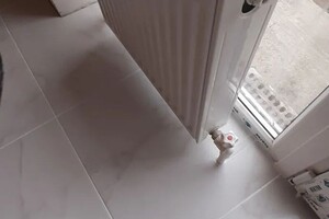 Гуцу Валерий Федорович — Плитка — Портфолио №50