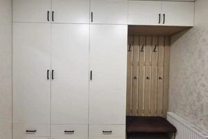 Гуро Александр Геннадьевич — Шкаф фасады ЛДСП — Портфолио №108