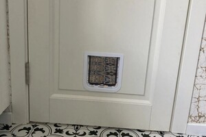 Хасаев Александр Александрович — Проход для питомцев — Портфолио №10