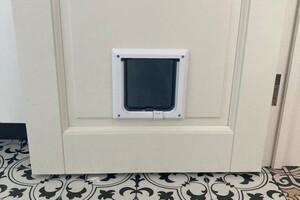 Хасаев Александр Александрович — Проход для питомцев — Портфолио №9