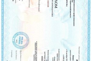 Иванова Анна Николаевна — Диплом / сертификат №2