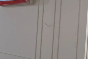 Каличава Олег хутаевич — Портфолио №6