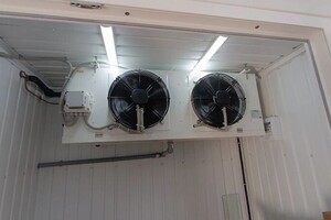 Кан Андрей Степанович — Портфолио №1