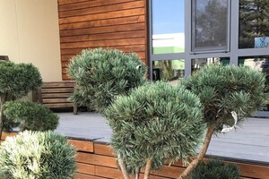 Карачун Виктория Константиновна — Портфолио №38