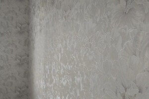 Колотырина Лилия Владимировна — Клею обои — Портфолио №1