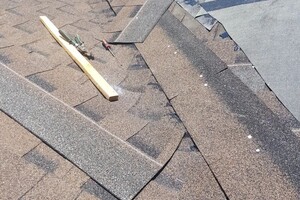 корюков анатолий анатольевич — Портфолио №38