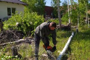 Нужно спилить дерево на придомовой территории возле жилых домов? административных объектов? деловых центров или... — Корсунов Вячеслав Владимирович