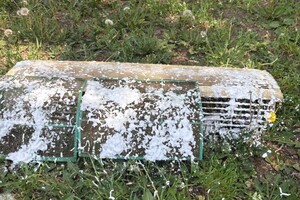 Кульбаков Иван Александрович — Портфолио №5