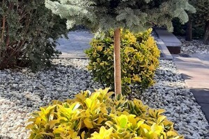 Ландшафтная студия Ивана Ельцова — Портфолио №3