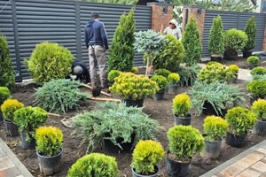 Ландшафтная студия Ивана Ельцова — Портфолио №6