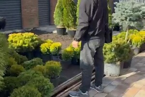 Ландшафтная студия Ивана Ельцова — Портфолио №8