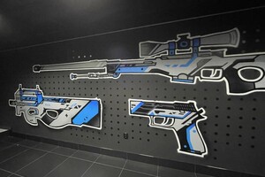 Ларионов Роман Евгеньевич — Портфолио №5