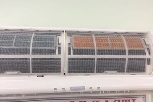 Лаза Евгений Александрович — Портфолио №49